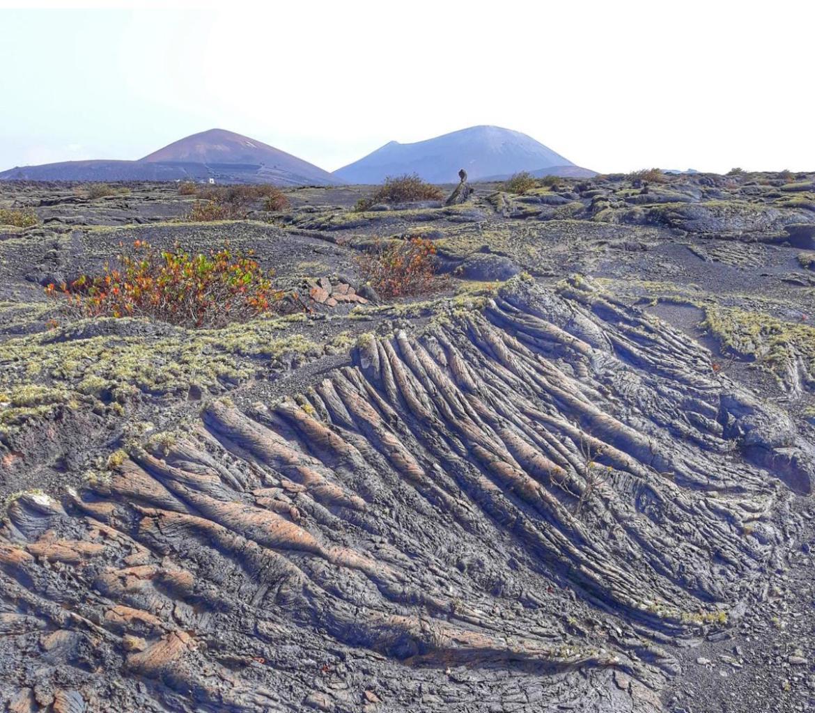 Montana Blanca Lanzarote Casa Volcanica-Anclada Sobre La Lava Del Volcan מראה חיצוני תמונה