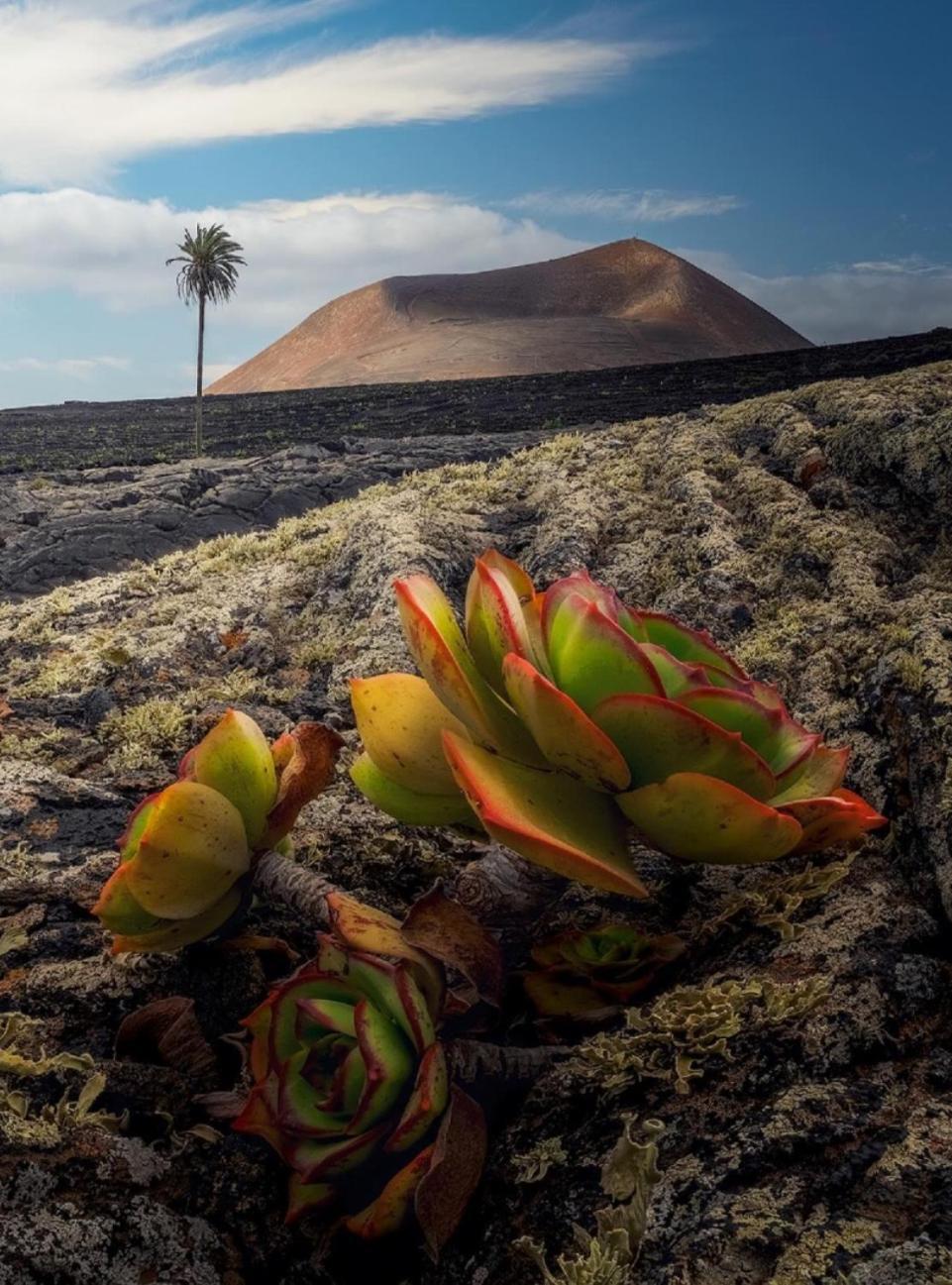 Montana Blanca Lanzarote Casa Volcanica-Anclada Sobre La Lava Del Volcan מראה חיצוני תמונה
